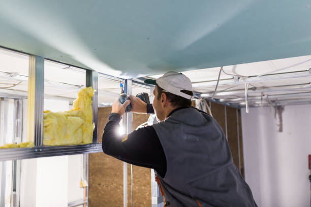 Types of Insulation We Offer in Avonia, PA